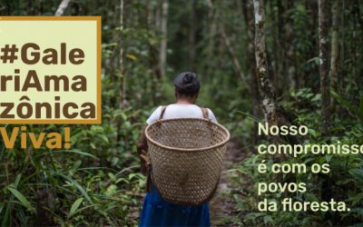 ISA: GaleriAmazônica lança campanha para manter geração de renda de artesãos indígenas e ribeirinhos