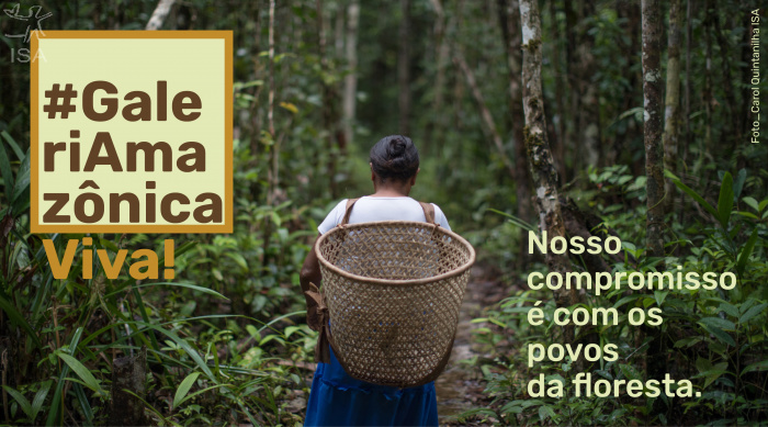 ISA: GaleriAmazônica lança campanha para manter geração de renda de artesãos indígenas e ribeirinhos