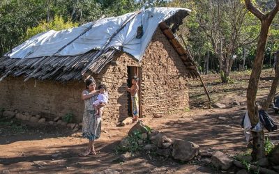 CIMI: O impacto da pandemia nos povos indígenas do Rio Grande do Sul