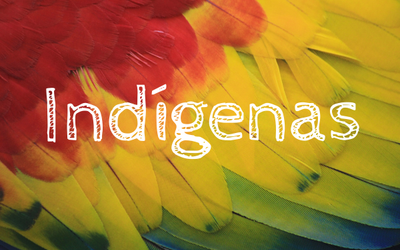 MPF: Auxílio emergencial: TRF1 determina atendimento exclusivo a indígenas de São Gabriel da Cachoeira (AM)