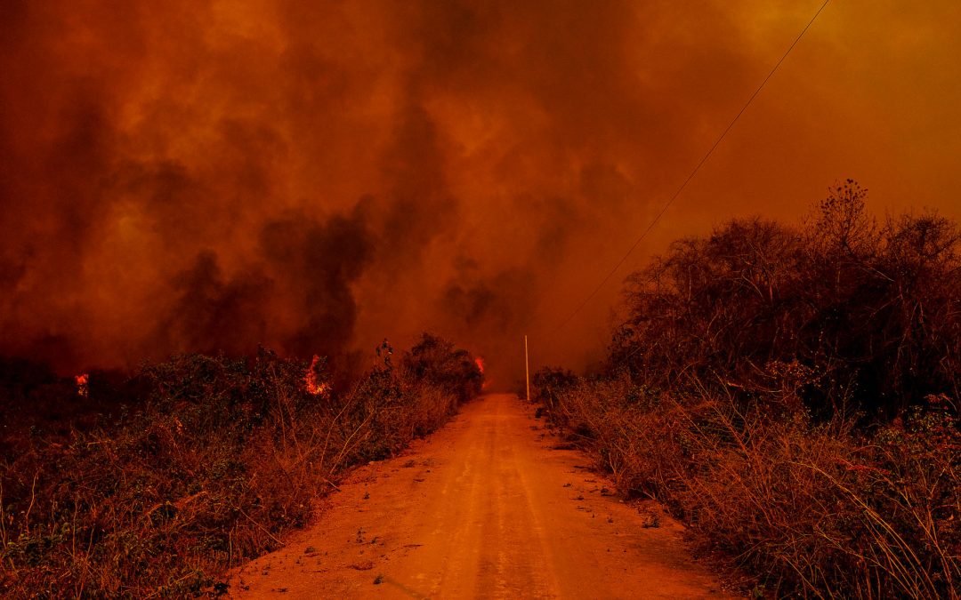 AGÊNCIA PÚBLICA: Incêndios já tomam quase metade das terras indígenas no Pantanal
