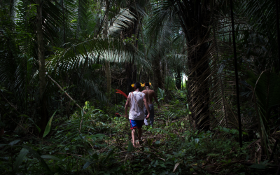 ANISTIA INTERNACIONAL: Ataques à APIB devem unir sociedade e instituições em defesa dos povos indígenas, aponta Anistia Internacional