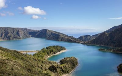 ONU BRASIL: Relatório das Nações Unidas alerta para perda de biodiversidade sem precedentes na história