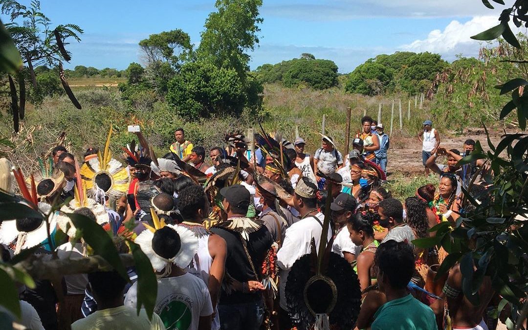 APIB: Pataxó Resite: Comunidade Novos Guerreiros recorre ao STF contra reintegração de posse