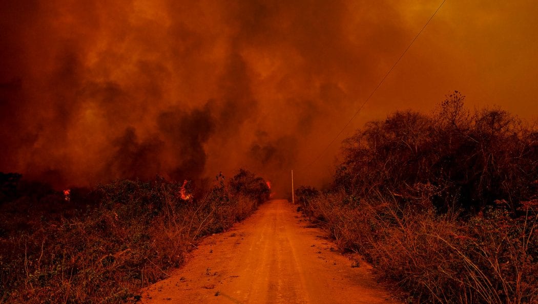 CIMI: Regionais da CNBB lamentam “desmonte das instâncias de fiscalização” e cobram investigação sobre queimadas no Pantanal