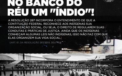 APIB: No banco do réu um “índio” #3