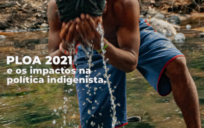 INESC: Os impactos do PLOA 2021 na política indigenista