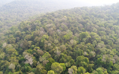 FUNAI: Unidade da Funai no RS realiza operação de fiscalização na maior Terra Indígena do estado