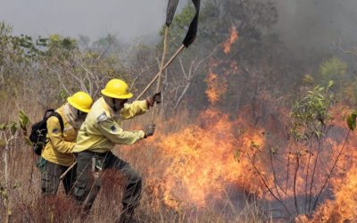 AMAZÔNIA NOTÍCIA E INFORMAÇÃO: Enquanto Brasil queima, brigadas indígenas de combate ao fogo encaram futuro incerto