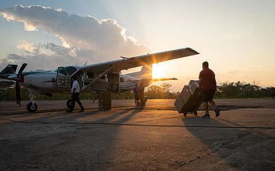GREENPEACE: ASAS DA EMERGÊNCIA: MISSÃO CUMPRIDA!