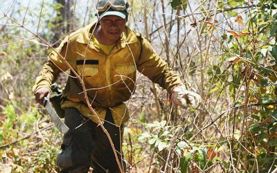 BRASIL DE FATO: Indígenas se arriscam no combate a incêndios criminosos na Amazônia e Pantanal
