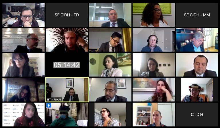 FUNAI: Presidente da Funai destaca ações de combate à covid-19 em reunião virtual da Comissão Interamericana de Direitos Humanos