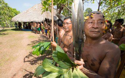 FUNAI: Linhão de Roraima: tradução do Componente Indígena é retomada