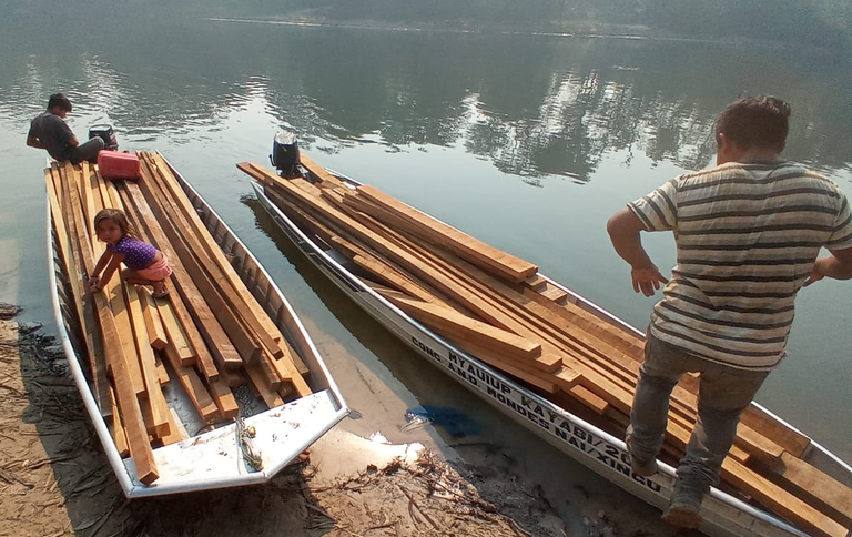 FUNAI: Em ação emergencial, Funai distribui madeira e cestas de alimentos para etnia Kayabi no Parque do Xingu