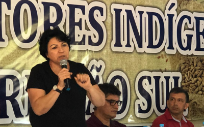 FUNAI: Azelene Kaingang, coordenadora da Funai em Chapecó (SC), é a entrevistada da semana em homenagem ao Mês do Servidor Público