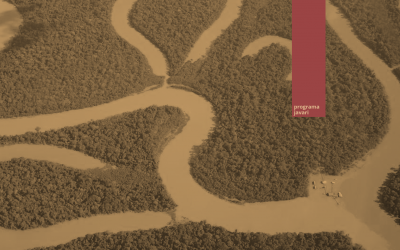 CTI: Governo descumpre decisão do Supremo Tribunal e covid-19 chega na aldeia mais próxima de índios isolados do Vale do Javari