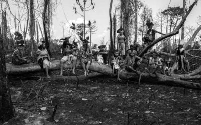 CONGRESSO EM FOCO: Violência contra povos indígenas aumentou 150% no primeiro ano do governo Bolsonaro