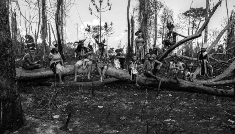 CONGRESSO EM FOCO: Violência contra povos indígenas aumentou 150% no primeiro ano do governo Bolsonaro
