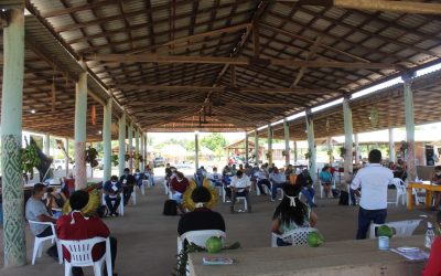 CIR: CIR REALIZA I REUNIÃO DA COORDENAÇÃO AMPLIADA DELIBERATIVA DE 2020