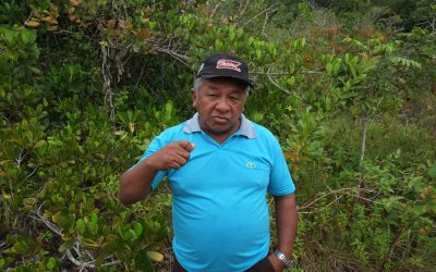 AMAZÔNIA REAL: Com Covid-19, tuxaua-geral do povo Sateré-Mawé luta pela vida