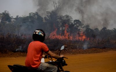 AMAZÔNIA REAL: BR-319 – O começo do fim para a floresta amazônica brasileira