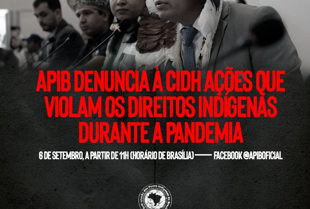 APIB: APIB DENUNCIA À CIDH AÇÕES QUE VIOLAM OS DIREITOS INDÍGENAS DURANTE A PANDEMIA