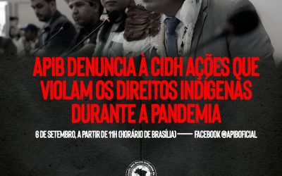 APIB: APIB DENUNCIA À CIDH AÇÕES QUE VIOLAM OS DIREITOS INDÍGENAS DURANTE A PANDEMIA