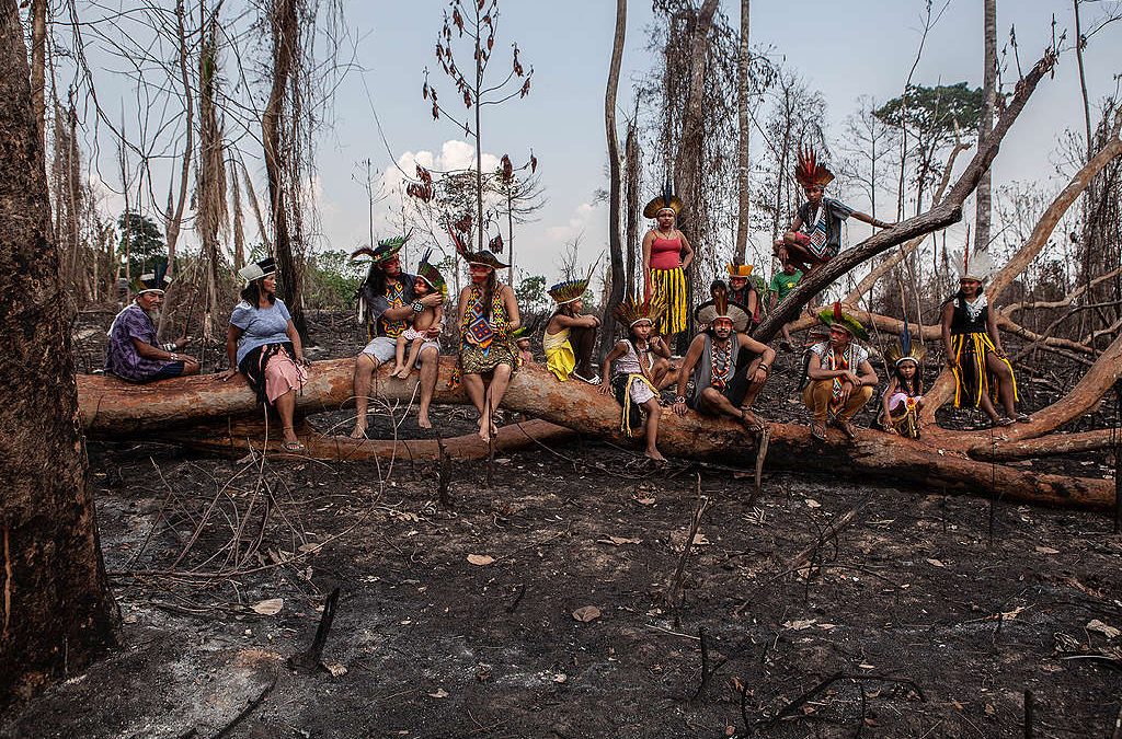 GREENPEACE: Aumento das invasões das terras indígenas em todo Brasil é alarmante