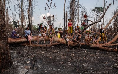 GREENPEACE: Aumento das invasões das terras indígenas em todo Brasil é alarmante