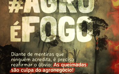 CIMI: O agro é fogo: queimadas são responsabilidade do agronegócio