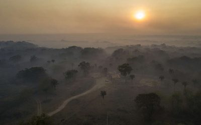 GREENPEACE: Expedição Pantanal: afetados pelo fogo e parceiros que atuam no bioma