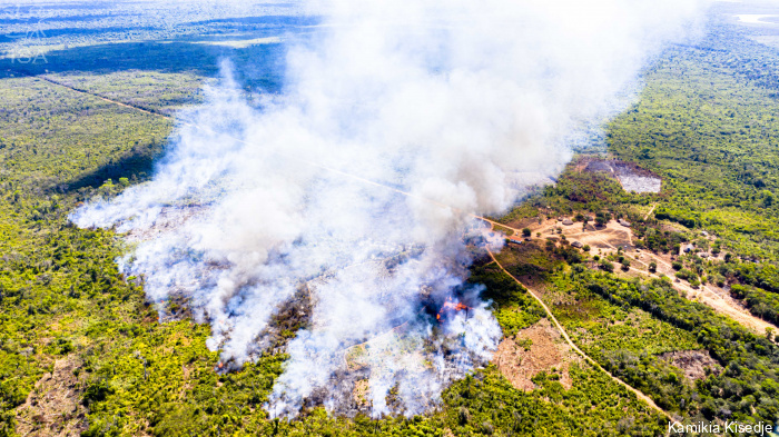 ISA: Combustível perfeito: desmatamento provoca incêndios no Território Indígena do Xingu (MT)