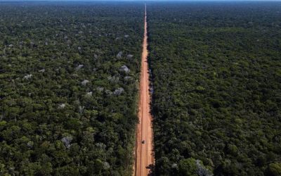 SURVIVAL: Povos indígenas isolados estão ameaçados pelos incêndios na Amazônia