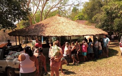 ISA: Produtos da reforma agrária alimentam indígenas de SP durante a pandemia