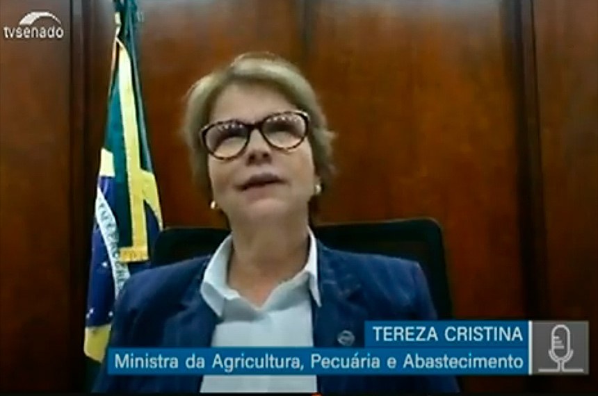 SENADO: Ministra destaca necessidade de prevenção a incêndios no Pantanal