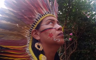 SENADO: Candidaturas negras, femininas e indígenas aumentaram em 2020