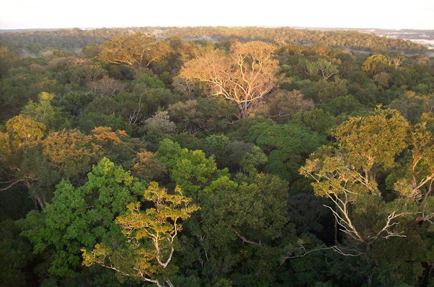 SENADO: Projeto cria marco para exploração sustentável da Amazônia  Fonte: Agência Senado