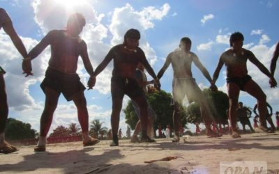 OPAN: Coalizão de entidades lança Observatório Socioambiental de Mato Grosso