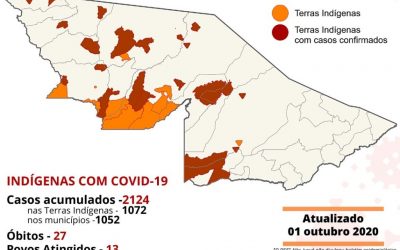 CPI- ACRE: Monitoramento da COVID-19 entre indígenas no Acre