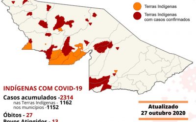 CPI- ACRE: Monitoramento da COVID-19 entre indígenas no Acre