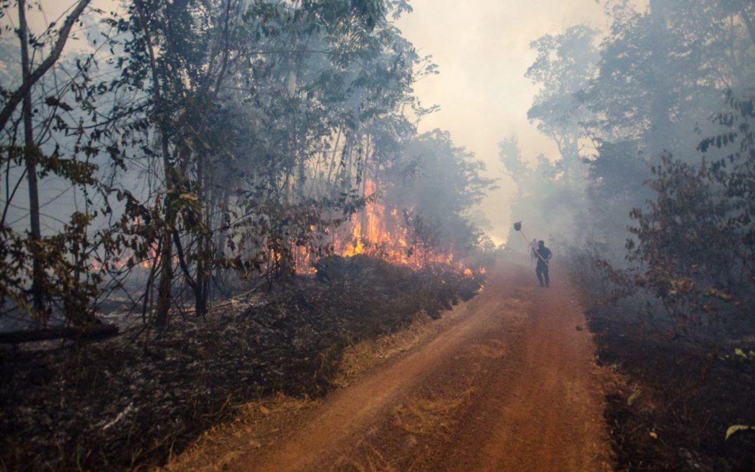 JORNALISTAS LIVRES: O fogo na Amazônia é protocolo