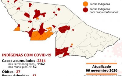 CPI-ACRE: Monitoramento da COVID-19 entre indígenas no Acre