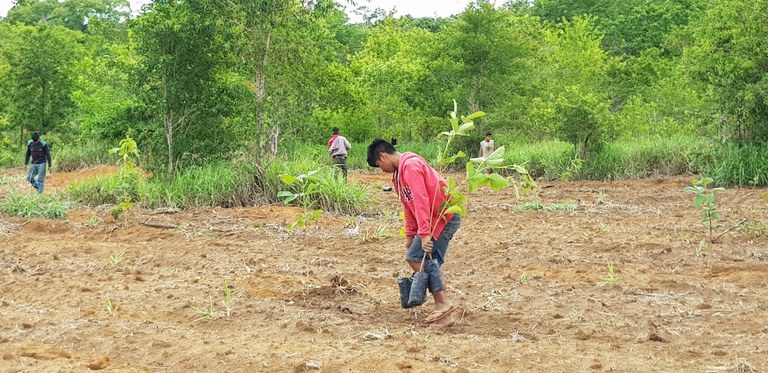 FUNAI: Funai abre edital para projetos de recuperação de vegetação nativa dos biomas Mata atlântica, Cerrado e Caatinga