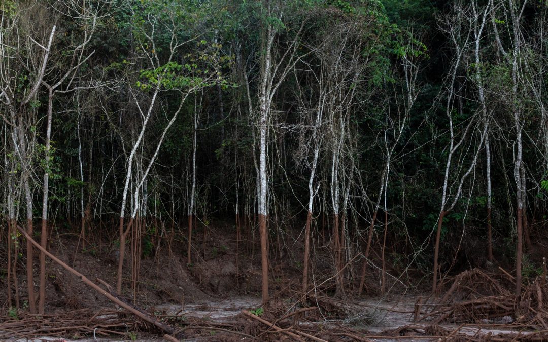 AMAZÔNIA REAL: Fotógrafa registra os cinco anos da tragédia de Mariana