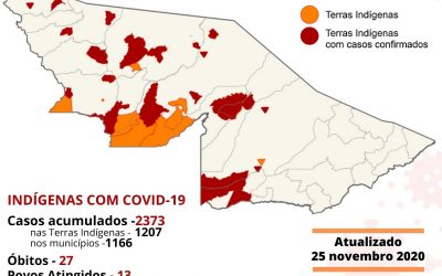 CPI- ACRE: Monitoramento da COVID-19 entre indígenas no Acre