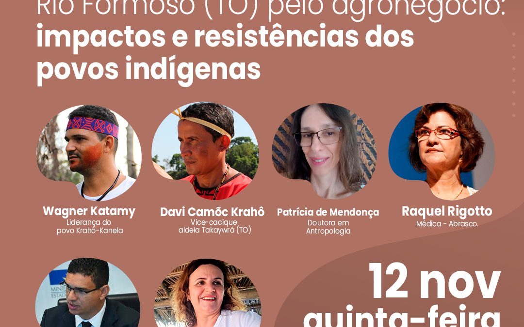 CIMI: Live do Cimi expõe captação ilegal das águas do Rio Formoso pelo agronegócio, em Tocantins