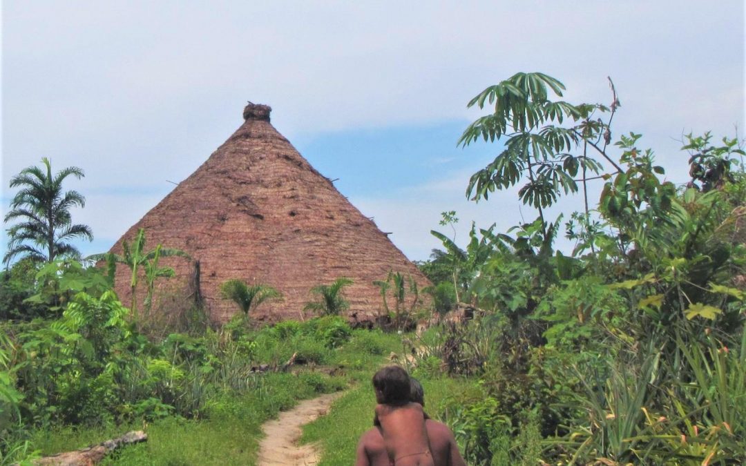 AMAZÔNIA NOTÍCIA E INFORMAÇÃO: ‘Fui obrigado a entrar em terra indígena com um missionário’, diz servidor da Funai