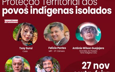 CIMI: Proteção territorial dos povos indígenas isolados é tema da live do Cimi