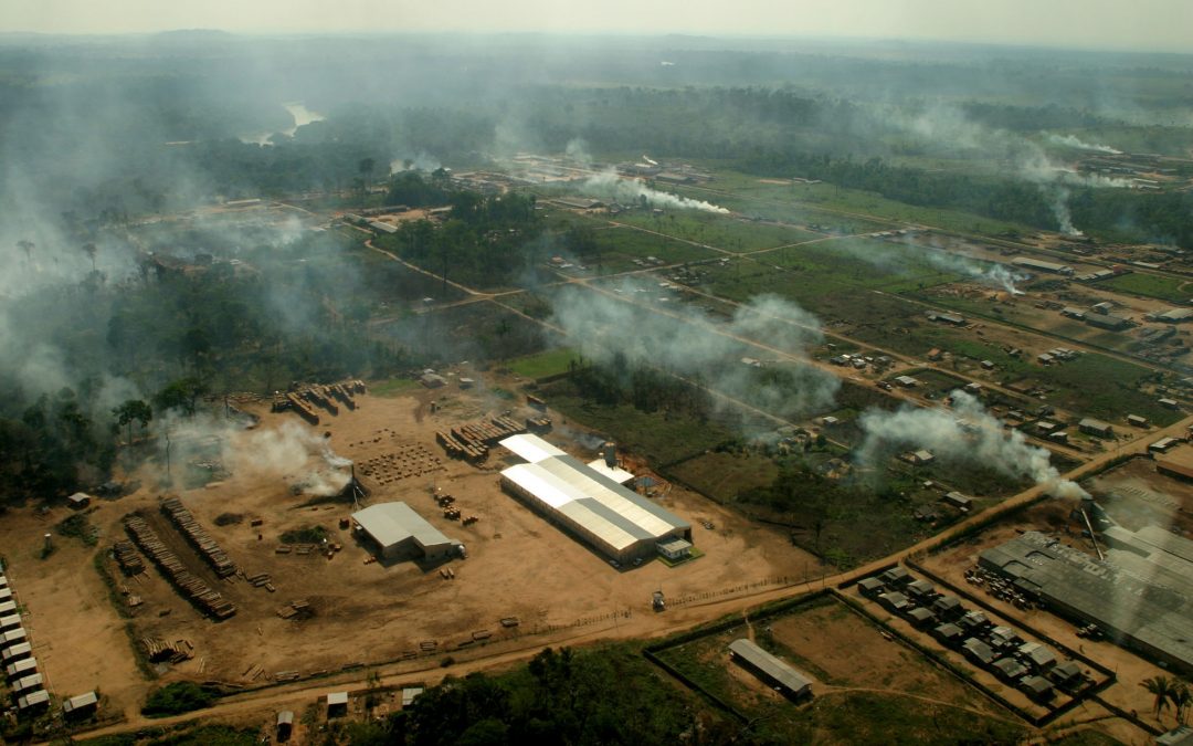 AMAZÔNIA REAL: O Desmatamento da Amazônia Brasileira: 8 – Lavagem de dinheiro, exploração madeireira e mineração