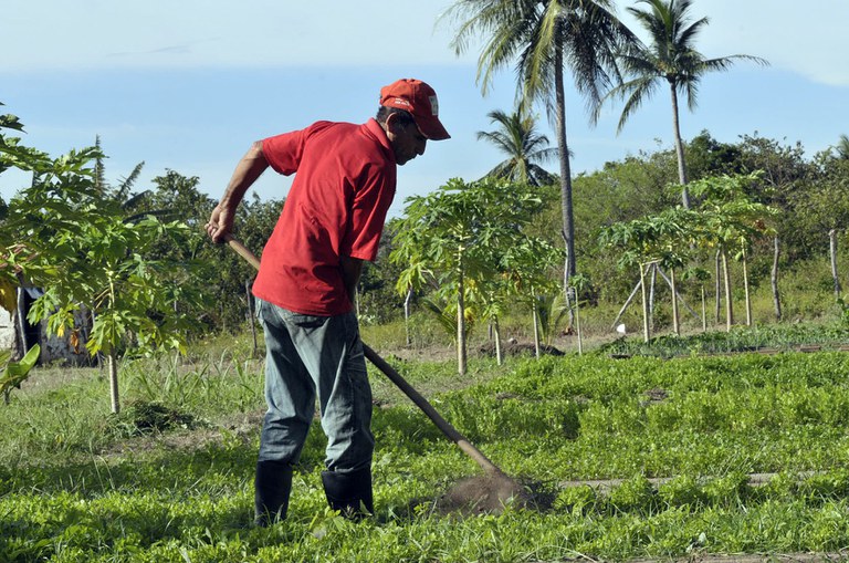 FUNAI: Presidente da Funai assina Carta de Anuência para projeto que incentiva agricultura familiar indígena em Roraima